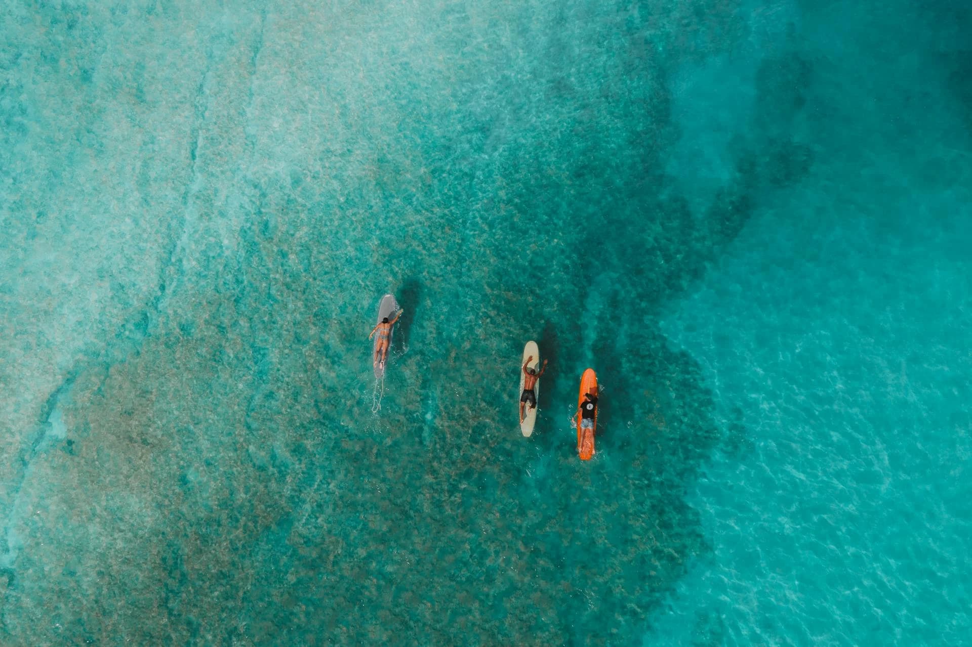 Surfing in the ocean